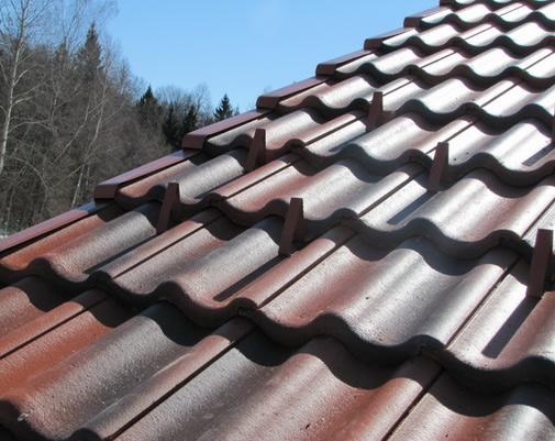 Фото 1 – Натуральная черепица braas