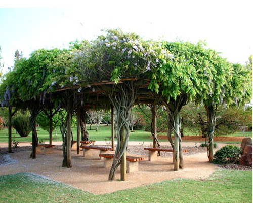 Фото 11 - Открытая беседка с односкатной зеленой крышей