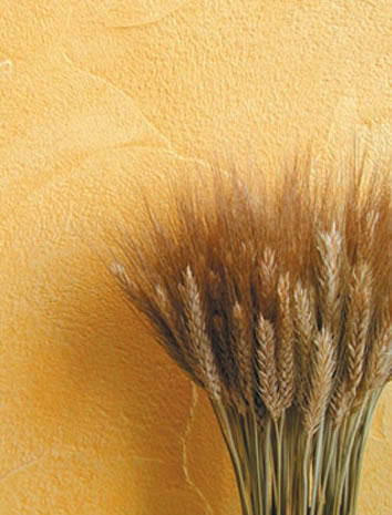 Текстурная штукатурка c фиброволокнами, имитирующая фактуру натурального камня, Riviera от Clavel