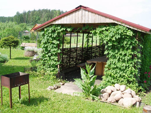 Фото 15 – Беседка из теплицы