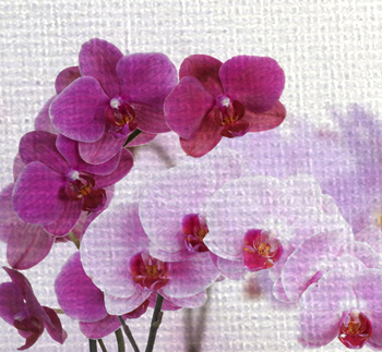 Текстура Смарт Стик