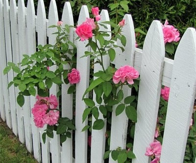 Фото 2 – Деревянный штакетник на даче