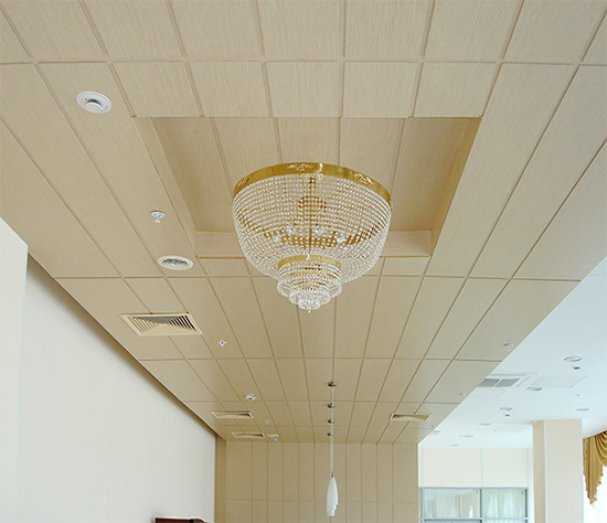 Фото 2 - Гладкие шпонированные панели TRENDY