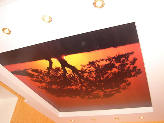 Принт на натяжном потолке. По индивидуальному заказу можно изготовить любое полотно