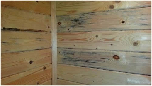 Фото 2 - Синева на древесине