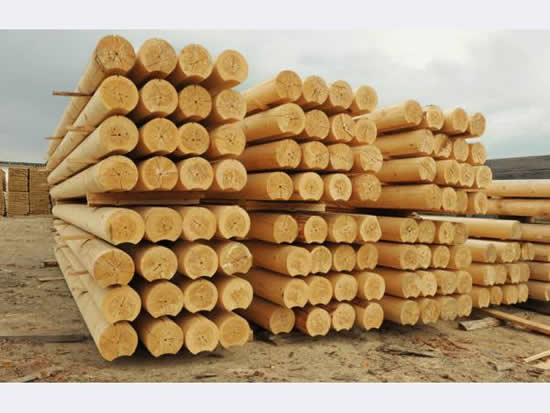 Фото 3 – Бревно оцилиндрованное