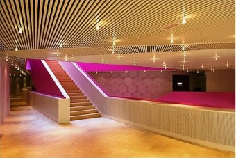 Фото 3 - Голландский алюминиевый потолок Luxalon