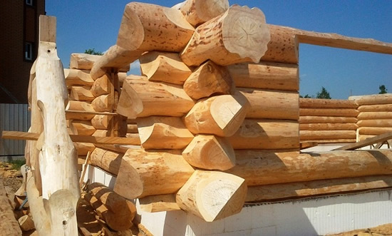 Фото 3 – Канадская рубка