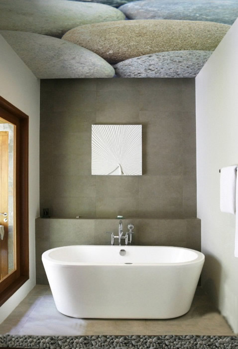 Фото 3 - На пленку ПВХ, используемой для монтажа натяжных потолков, можно наносить любые изображения