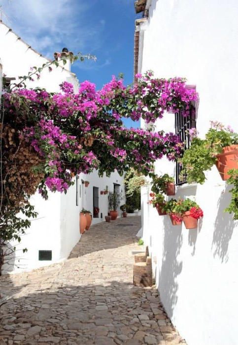 Средиземноморские улочки из каталога фотообоев paperhanger.ru