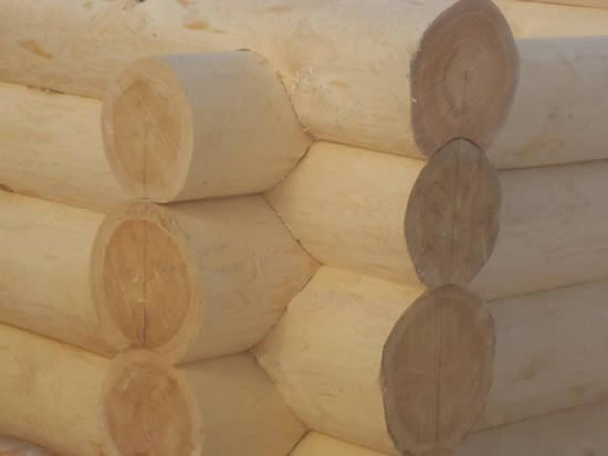 Фото 5 – Рубка в чашу