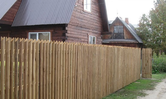 Фото 5 – Штакетник из березы