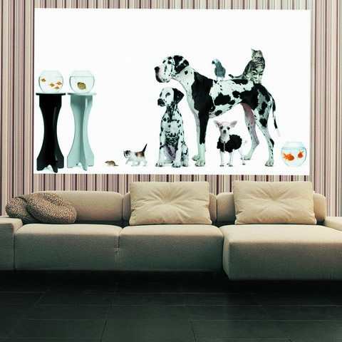 FOTOOBOI ANTIMARKER ART