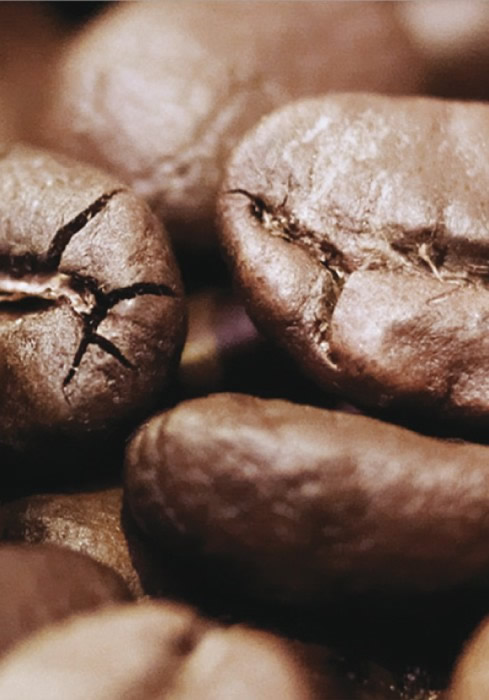 Фотообои Эрисман, коллекция: Mischen Possible, Панно 75х280 cm Арт. 2164-02