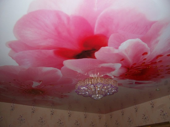 Натяжной потолок в цветах