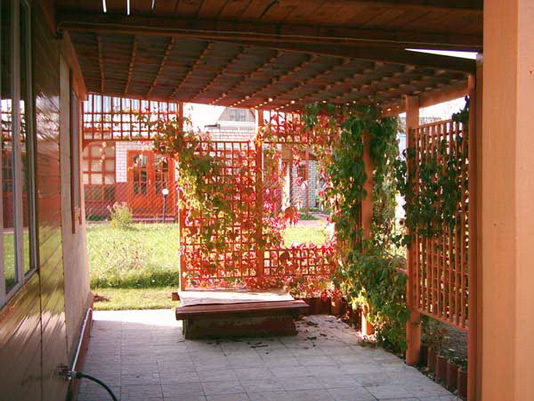 Фото 6 – Пергола из девичьего винограда