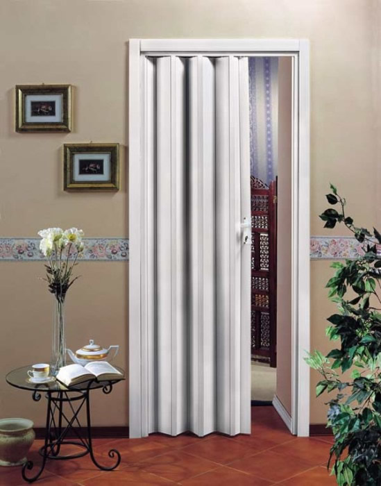 Фото 7 - Дверь-гармошка