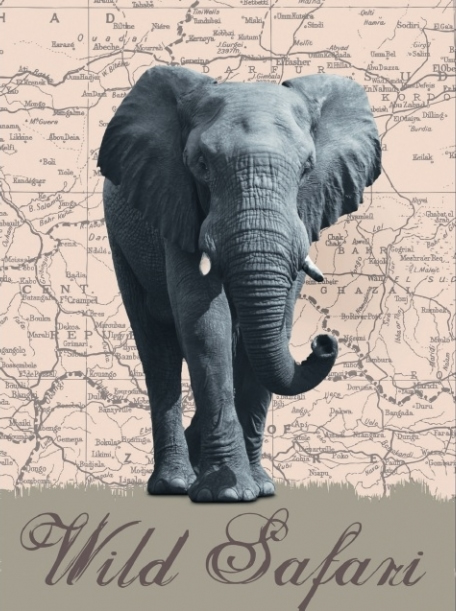 Фотообои 431, Wild Safari