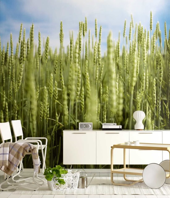 Интерьер грамотно подчеркивает простоту и насыщенность рисунка на фотообоях за счет того, что доминирующим выбран белый цвет