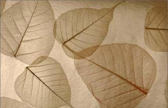 Натуральные обои Rasch Textil (Германия), коллекция Vista