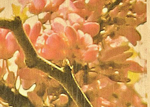 Виниловые обои Sirpi (коллекция Naxos), 115$ за рулон