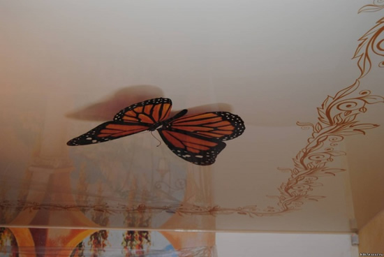 Фото 8 - Благодаря такому эффекту, бабочка словно ожила