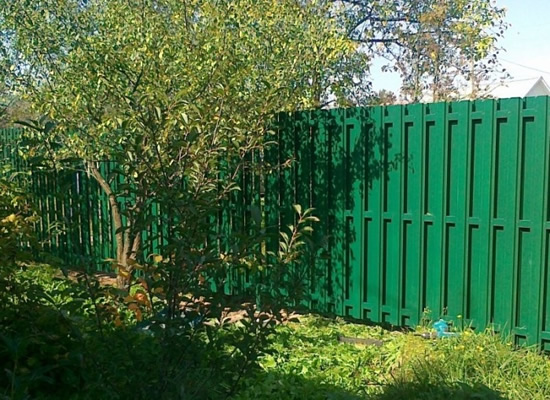 Фото 8 – Забор из двойного штакетника