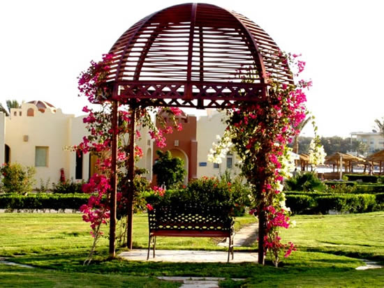 Фото 9 – Беседка, украшенная вьющимися цветами