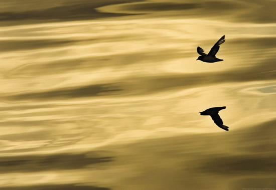 Фотоообои на стену Отражение