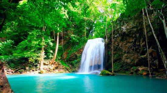 Фото тропического водопада