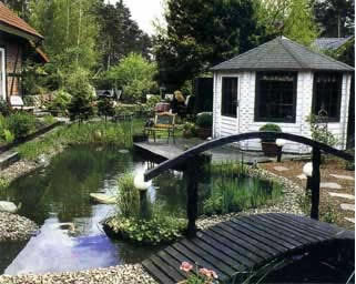 Прекрасный садик из растений на гравии