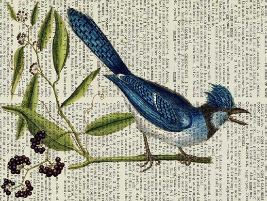 Декор с печатным принтом