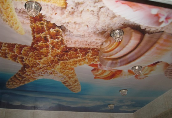 Фото 3 – Натяжные глянцевые потолки с фотопечатью