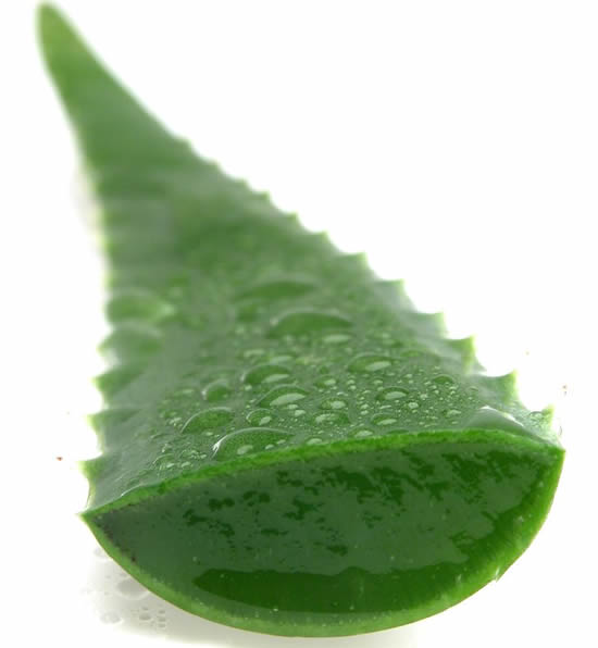 Сок из Алоэ