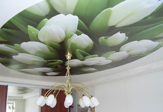 Декоративная отделка потолка