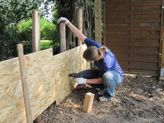 Как выполняется монтаж плит ОСП